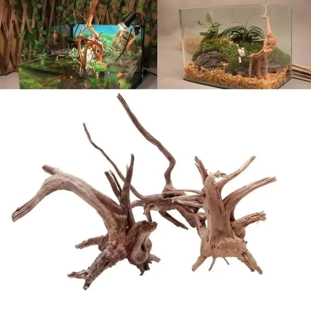 Aquarium Planting Ideas - (15-20cm) Decoração de Aquário em Madeira