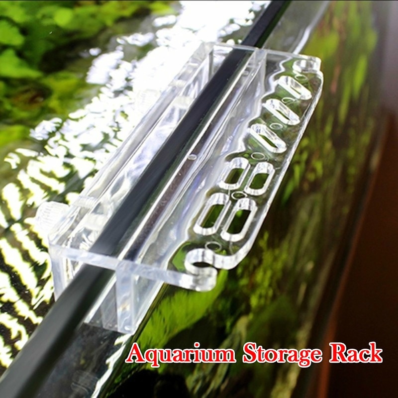1 pçs novo aquário planta ferr - Aquarium Plant Order avaliação e preço