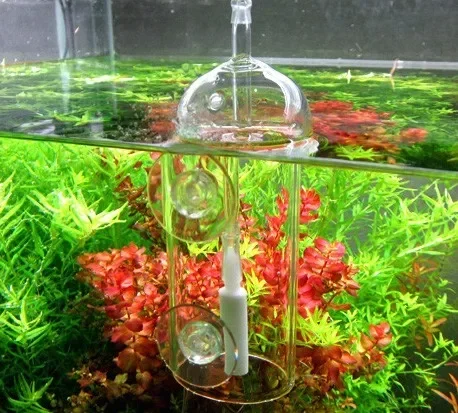 Viv fazer dispositivo cilindro - Aquarium Plant Order avaliação e preço