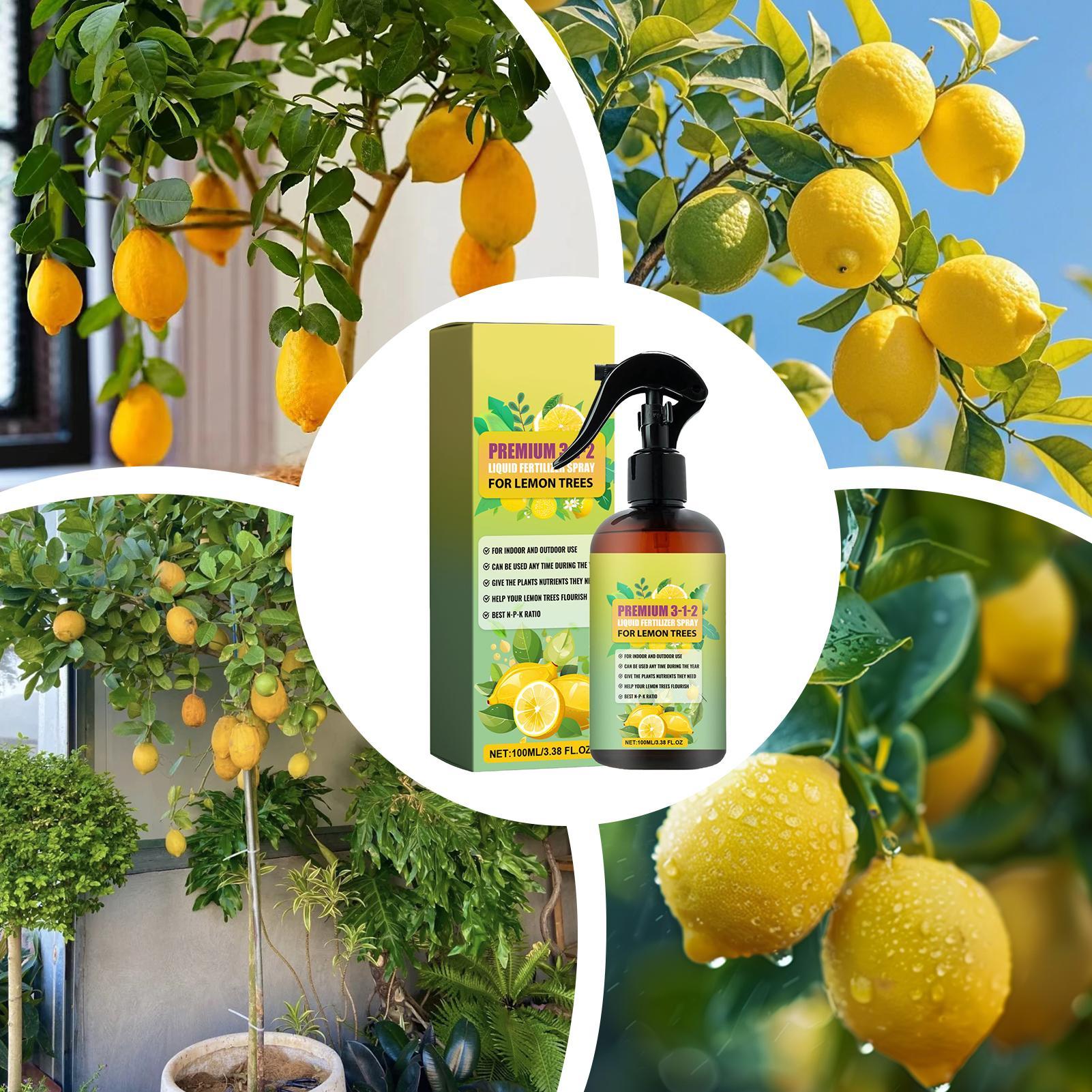 Spray Nutriente Concentrado pa - Liquid Fertilizer All In avaliação e preço