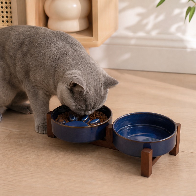 Tigela de Cerâmica para Gatos  - Royal Canin Food Medium avaliação e preço
