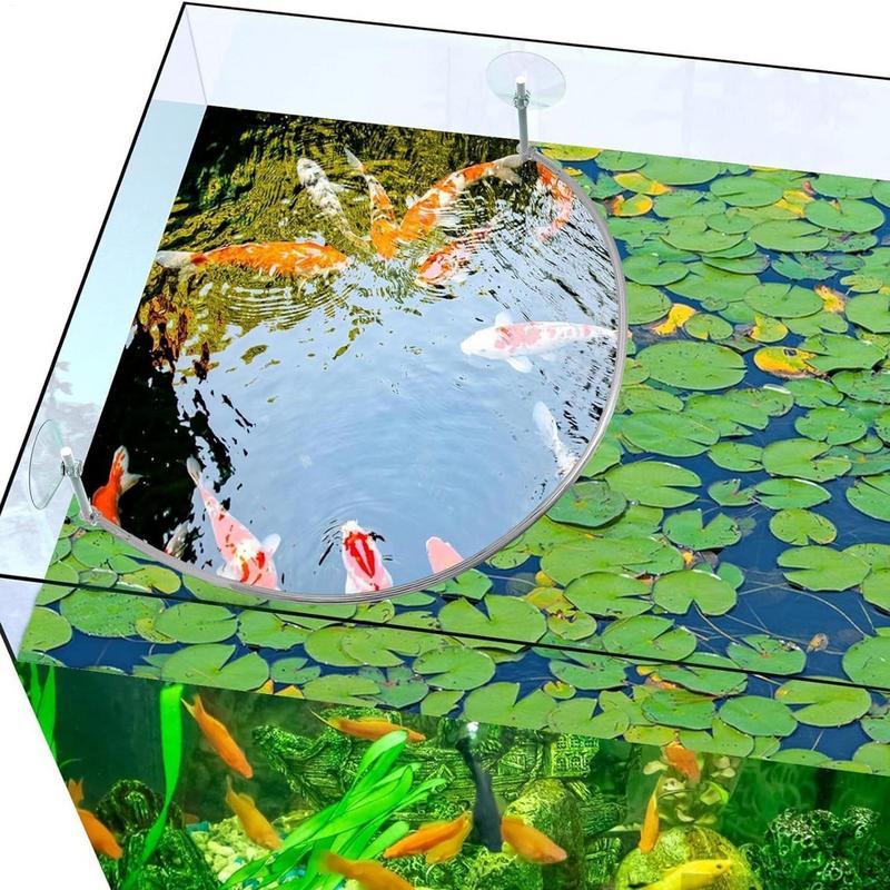Anel de alimentação de peixes  - Aquarium Plant Order avaliação e preço