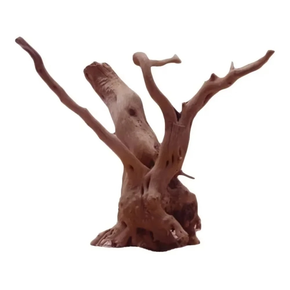 (15-20cm) Decoração de Aquário - Aquarium Planting Ideas avaliação e preço