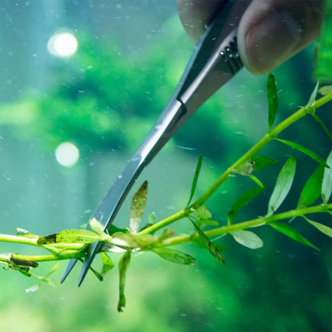 Tesoura curvada de mola reta,  - Planted Aquarium Maintenance Kit avaliação e preço
